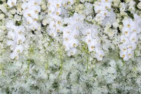 Фреска Букет белых цветов